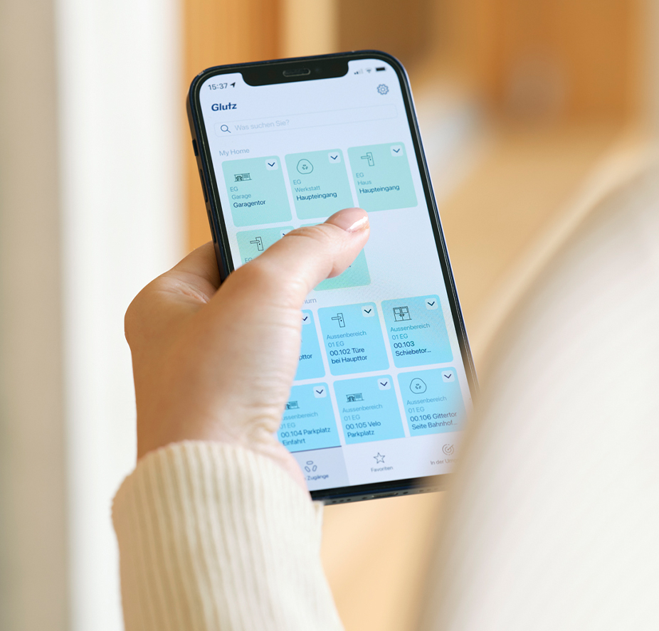 eAccess Mobile Handy Ansicht